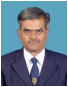 Vice President of the SVES