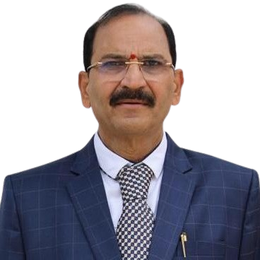 Vice President of the SVES